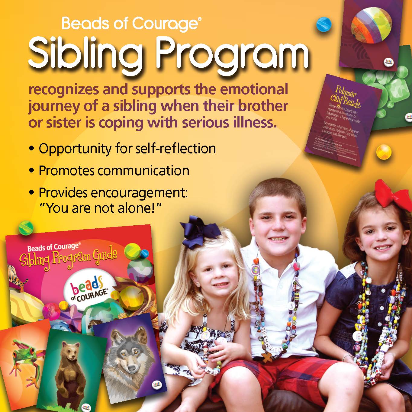 Beads of Courage, Beads at Home, Sibling Program (1 unit supports 20 sibs)